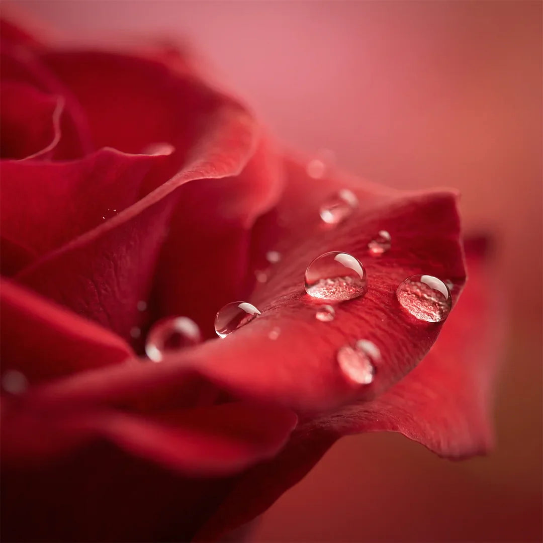 Menstruatie opwekken en versnellen: 7 huismiddeltjes en tips die echt helpen